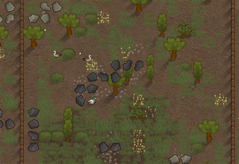[Top 10] Rimworld Best Farm Animals That Are Great.